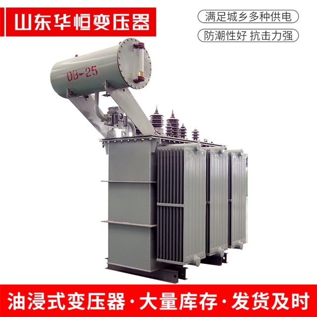 S11-10000/35耒阳耒阳耒阳电力变压器厂家